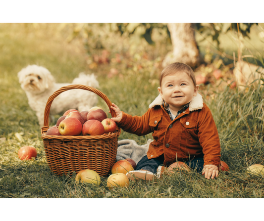 Autumn Orchard