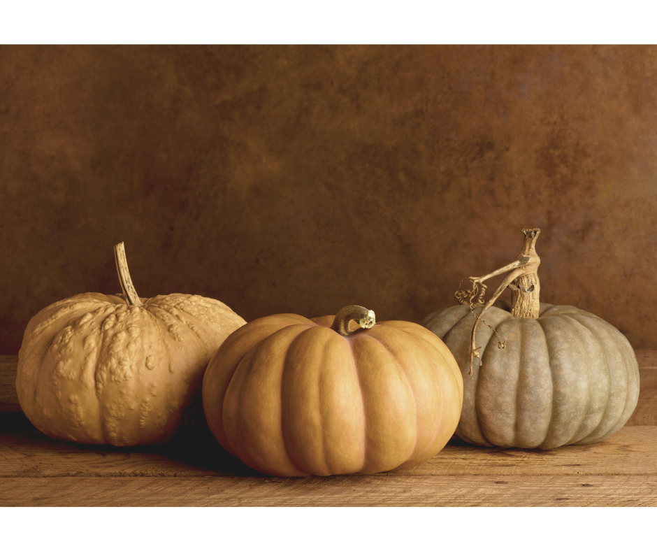 A fresh, earthy take on a classic fall pumpkin scent. 