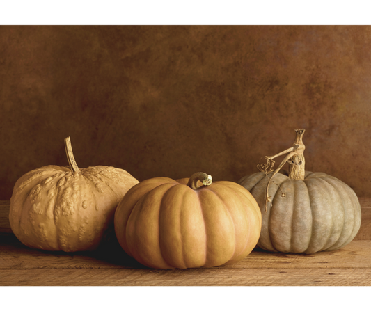 A fresh, earthy take on a classic fall pumpkin scent. 